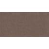 Gạch ốp tường Viglacera 30x60 UM3604