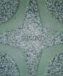 Gạch lát vỉa hè Secoin 30x30 OD-30-63