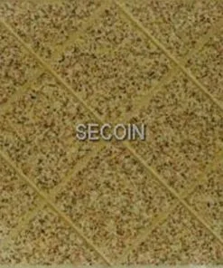 Gạch lát vỉa hè Secoin 40x40 OD-40-25