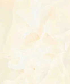 Gạch lát nền Viglacera 50x50 H504