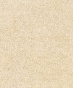 Gạch lát nền Viglacera 60x60 KT602