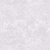 Gạch lát nền Viglacera 60x60 M6002