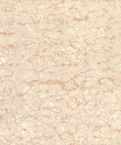 Gạch lát nền Viglacera 60x60 TS2-615