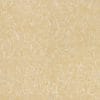 Gạch lát nền Viglacera 60x60 TS2-622
