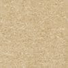 Gạch lát nền Viglacera 60x60 TS2-626