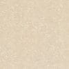 Gạch lát nền Viglacera 80x80 TS2-812