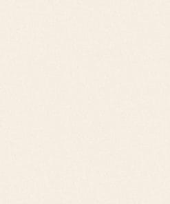 Gạch lát nền Viglacera 60x60 TS5-600