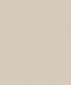 Gạch lát nền Viglacera 60x60 TS5-601