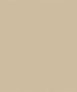 Gạch lát nền Viglacera 60x60 TS5-602