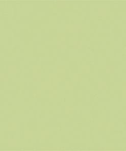 Gạch lát nền Viglacera 60x60 TS5-604