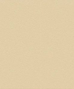 Gạch lát cotto Hạ Long 40x40 màu xám đá