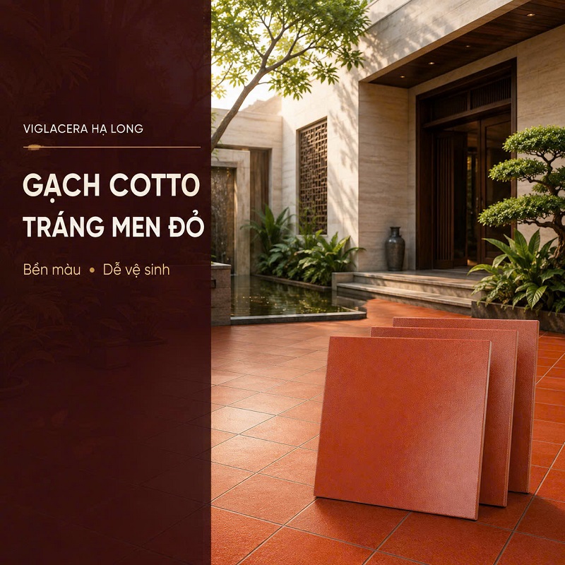 Gạch lát cotto Hạ Long 30x30 màu xám đá 1