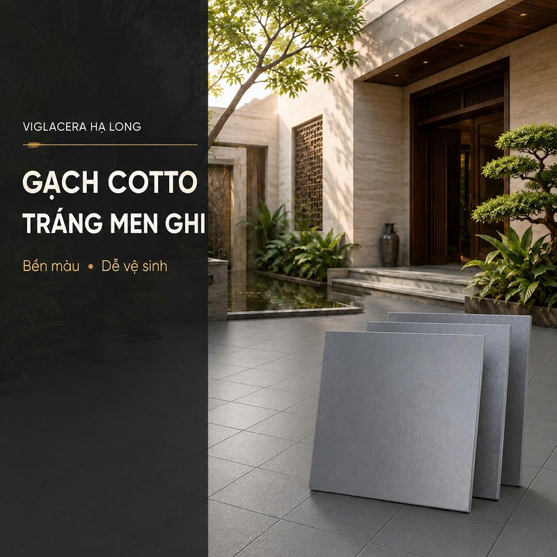 Gạch lát cotto Hạ Long 30x30 màu xám đá 3