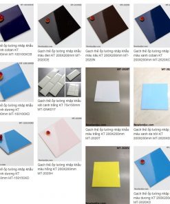 Gạch ốp lát 20x20 màu trắng Đồng Tâm TL01 3