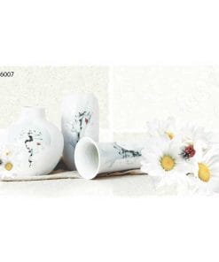 Gạch ốp tường 30x60 TTC Ceramic CDB36007