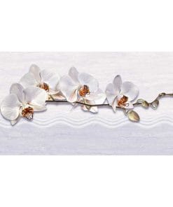 Gạch ốp tường 30x60 TTC Ceramic DB36001