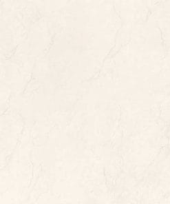 Gạch lát nền 60x60 TTC Ceramic PN66026