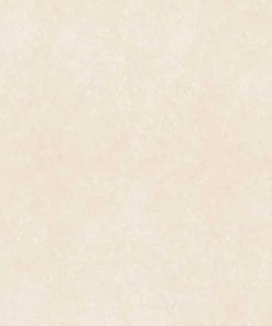 Gạch lát nền 60x60 TTC Ceramic PS66004