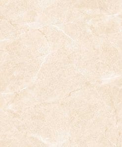 Gạch lát nền 60x60 TTC Ceramic PS66005