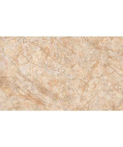 Gạch ốp tường 30x60 TTC Ceramic WB36006