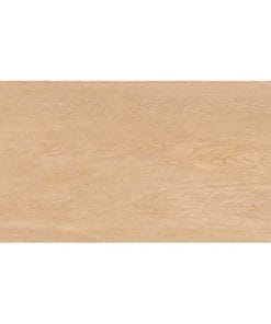 Gạch ốp tường 30x60 TTC Ceramic WB36008