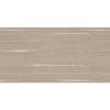 Gạch ốp tường 30x60 TTC Ceramic WB36056