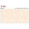 Gạch ốp tường 40x80 TTC Ceramic WB48004