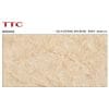Gạch ốp tường 40x80 TTC Ceramic WB48005