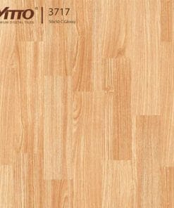 Gạch lát nền 50x50 Vitto 3717