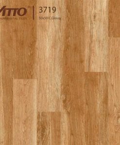 Gạch lát nền 50x50 Vitto 3719