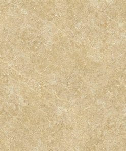 Gạch lát nền 60x60 Đồng Tâm 6060BINHTHUAN003