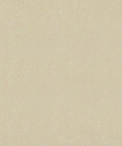 Gạch lát nền 60x60 Đồng Tâm 6060DB006-NANO