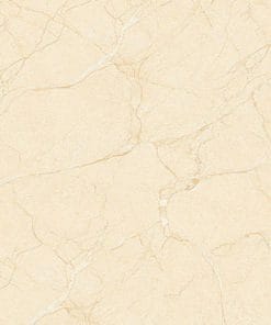 Gạch lát nền 60x60 Đồng Tâm 6060HAIVAN003-FP