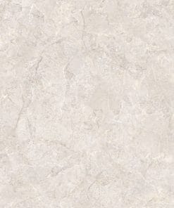 Gạch lát nền 60x60 TTC Ceramic CM66004-G