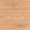 Gạch lát nền 60x60 TTC Ceramic CN66206