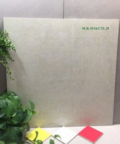 Gạch lát nền 60x60 Catalan 6116 1