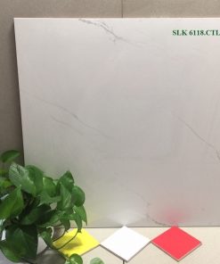 Gạch lát nền 60x60 Catalan 6118 3