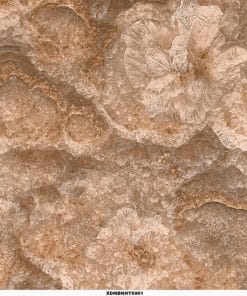 Gạch lát nền 60x60 Toko Ceramic XDMBAHT-6901