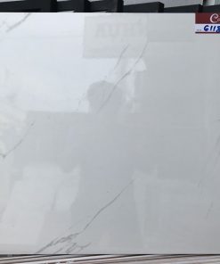 Gạch lát nền 60x60 Catalan 6118 1