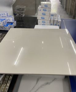 Gạch lát nền 80x80 Taicera P87615N 3