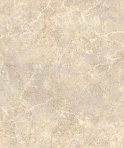 Gạch lát nền 40x40 Đồng Tâm 462