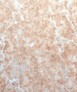 Gạch lát nền 60x60 Trung Quốc A603