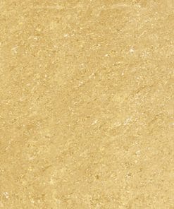 Gạch lát nền 60x60 Trung Quốc DN610