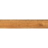 15x80 Prime 03.150800.08956