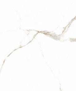 60x60 Prime 03.600600.09153