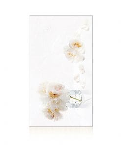 30x60 Hoàn Mỹ Perfetto 04.01.4113