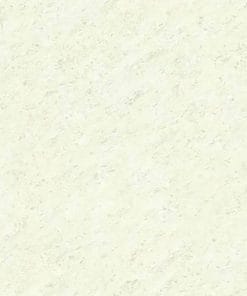 60x60 Prime 12.600600.50311