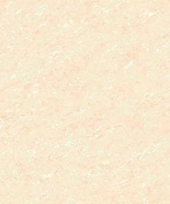 60x60 Prime 12.600600.50361