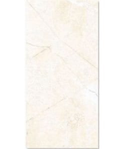 25x60 Đồng Tâm 2560ROME002