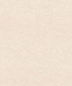 50x50 Prime 01.500500.09530